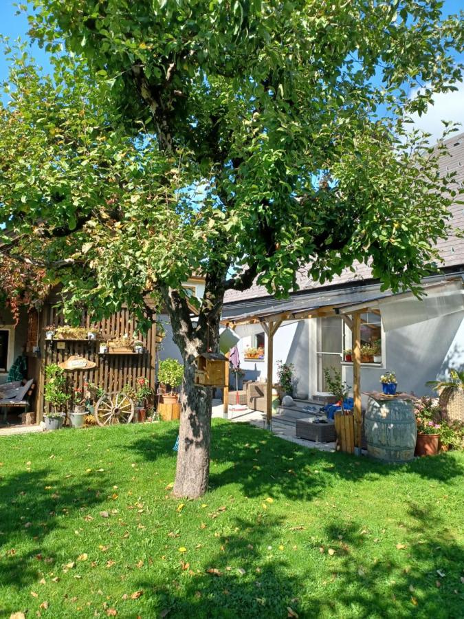 Ferienhaus Tuechler 탐스베그 외부 사진